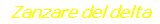 Zanzare del delta