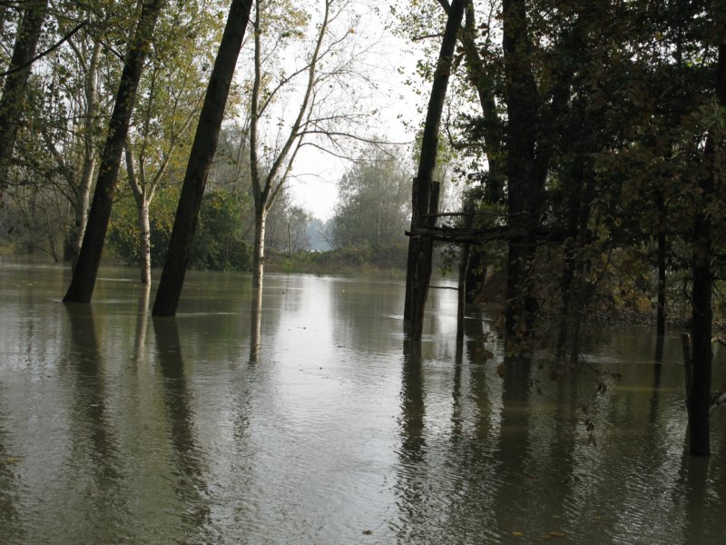 photo31.jpg