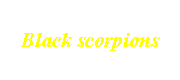 Black scorpions