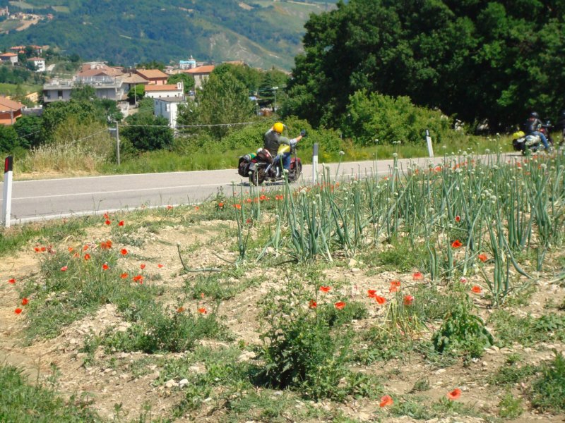 photo18.jpg