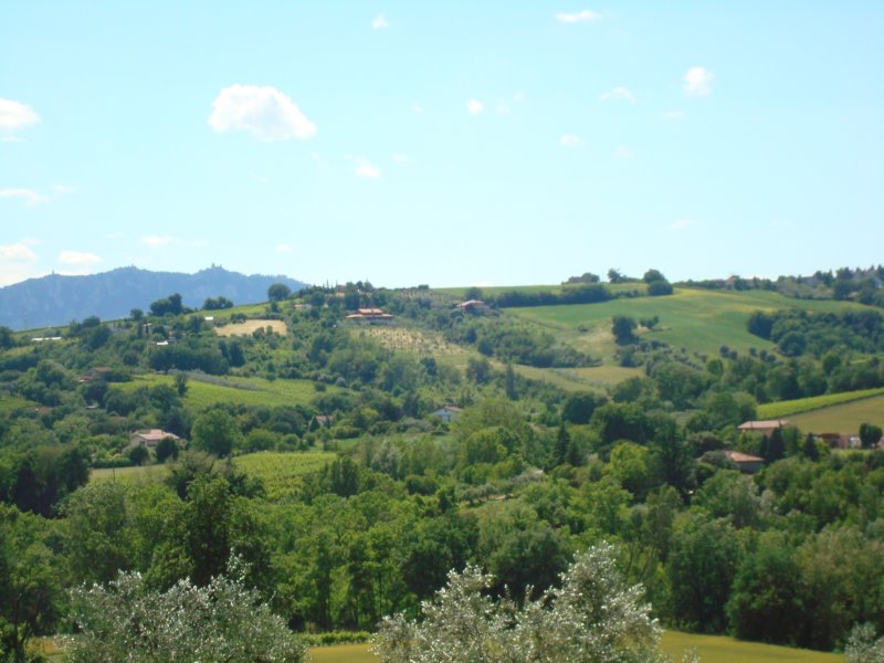 photo23.jpg