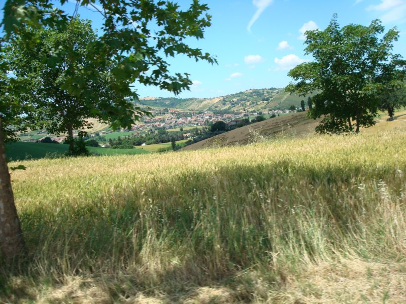 photo3.jpg