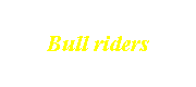 Bull riders