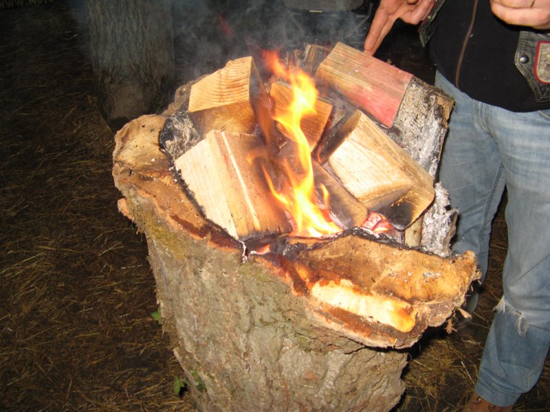 photo15.jpg
