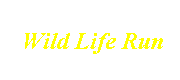  Wild Life Run