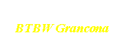 BTBW Grancona 