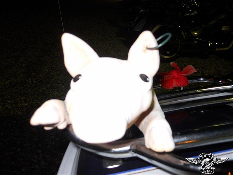 DSCN0359.jpg