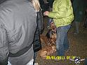 SAM_0135