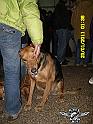 SAM_0136