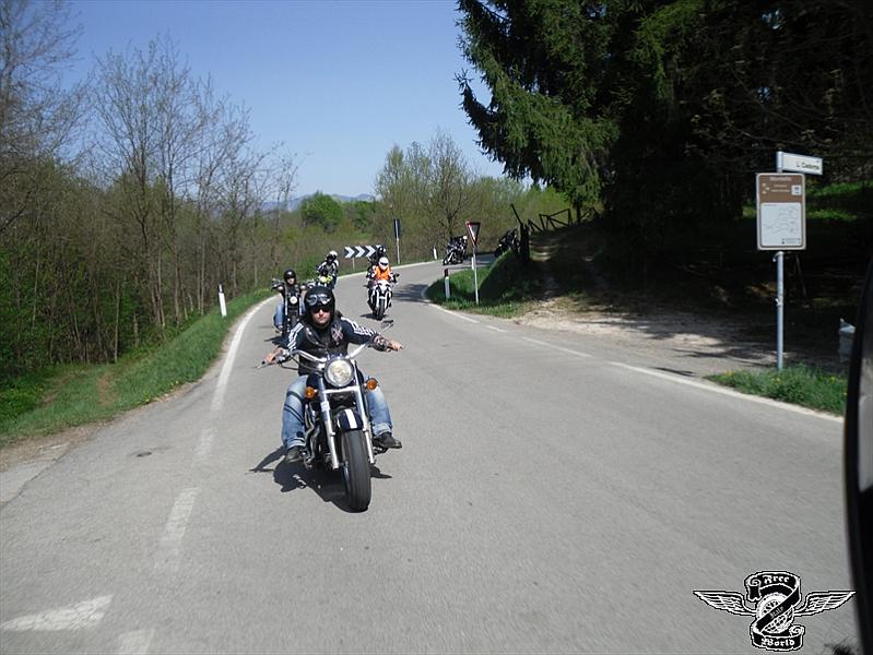 SAM_0338.jpg