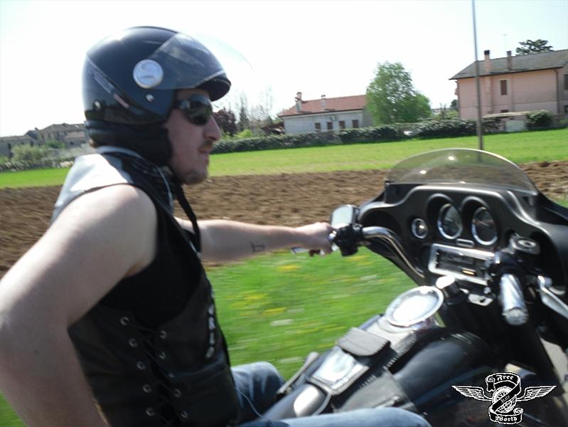 SAM_0362.jpg