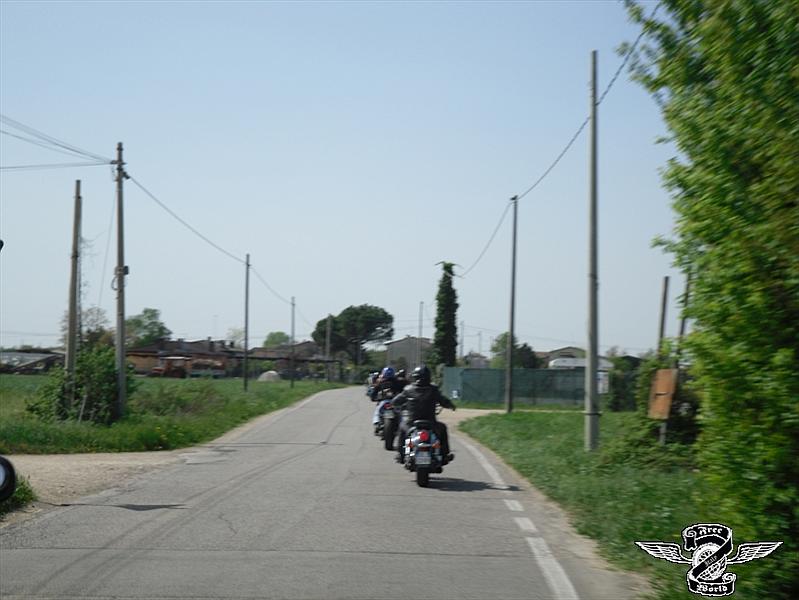 SAM_0373.jpg