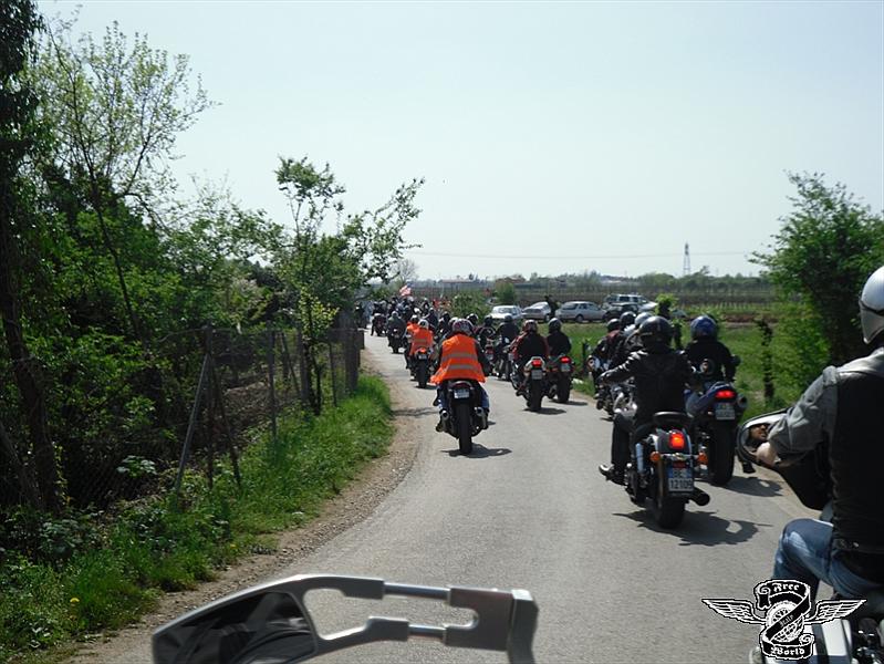 SAM_0390.jpg