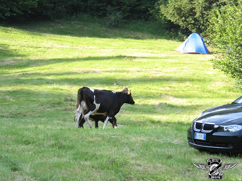 IMG_0586.jpg