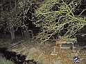 SAM_0331