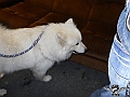 DSCN0519