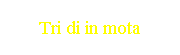 Tri di in mota