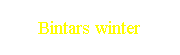 Bintars winter
