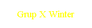 Grup X Winter