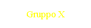 Gruppo X
