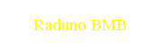 Raduno BMB