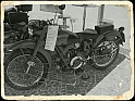 IMG_5503