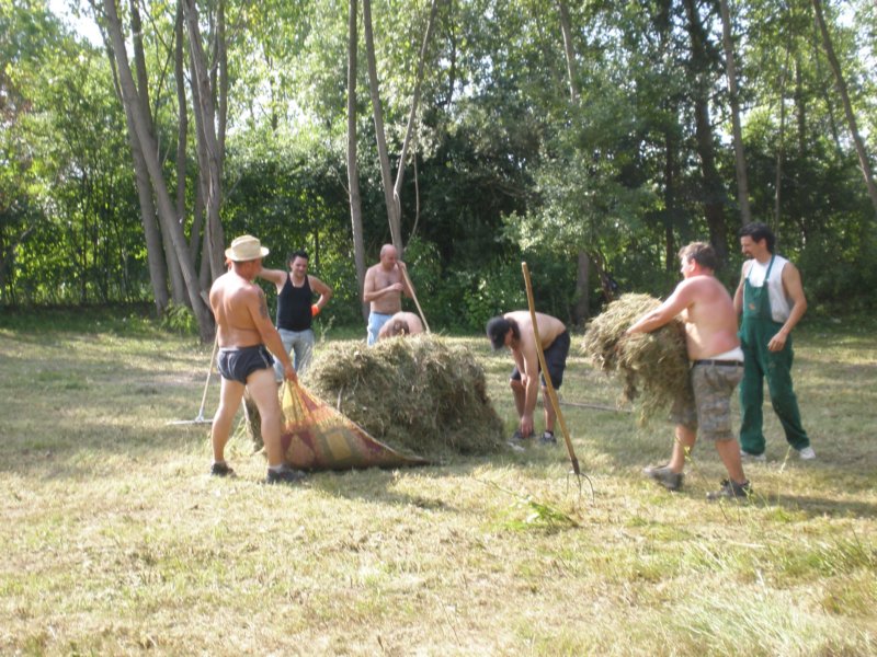 photo7.jpg